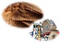 Pan Sin Levadura - Semejantes a Los &Iacute;dolos