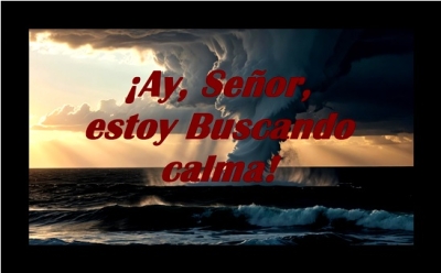 &iexcl;Ay, Se&ntilde;or, Estoy Buscando Calma!