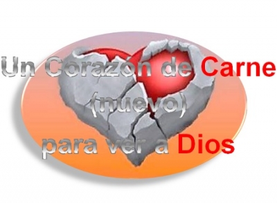Un Coraz&oacute;n De Carne (nuevo) Para Ver a Dios