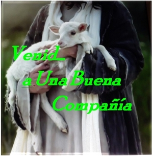 Serie Venid: Venid a Una Buena Compañía